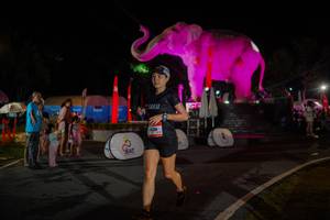 BIB: 
                            <button type="button" onclick="openModal(26552239)" class="btn btn-primary btn-sm float-right btn-popup" data-toggle="modal" data-target=".modal-high-quality">
                        <i class="fas fa-shopping-cart"></i> Add to Cart
                    </button>
                                            <button type="button" onclick="isThisMe(26552239, true)" class="btn btn-success btn-sm float-right btn-popup btn-isme hidden" data-toggle="tooltip" data-placement="bottom" title="นี่คือรูปของคุณใช่ไหม คลิกที่นี่เพื่อเอาเข้าอัลบั้ม">
                        <i class="fas fa-plus"></i> Add to album
                    </button>
                    <button type="button" onclick="isThisMe(26552239, false)" class="btn btn-warning btn-sm float-right btn-popup btn-isnotme hidden">
                        <i class="fas fa-ban"></i> Remove from album
                    </button>